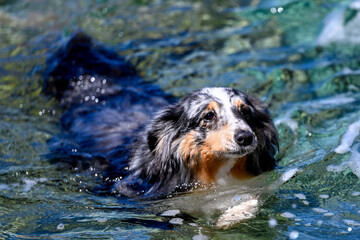 HRV, Kroatien, Brac, Insel in Dalmatien, Milna