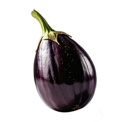 Glossy Purple Eggplant Isolated on Transparent Background