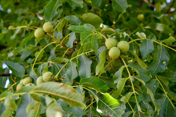 GER, Deutschland, Baden-Wuerttemberg, Stuttgart