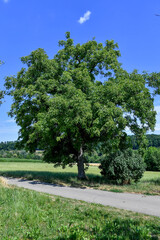 GER, Deutschland, Baden-Wuerttemberg, Stuttgart