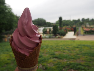 ピンク色のソフトクリームと秋の風景（バラ園）