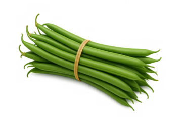 Fresh and vibrant green beans, tied together with a rubber band, isolated on a transparent background, ready for culinary use