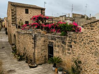 View of an old Spanish roof terrace with beautiful flowers