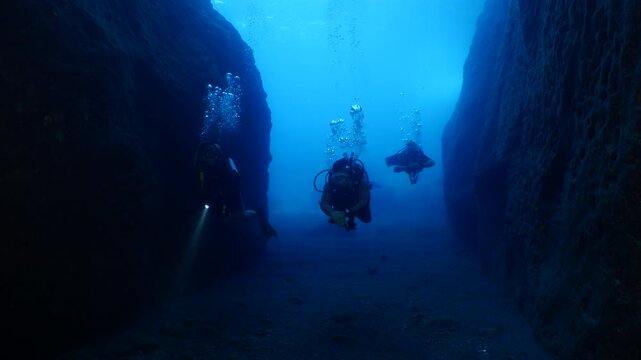 scuba divers are exploring the reefs and topography underwater