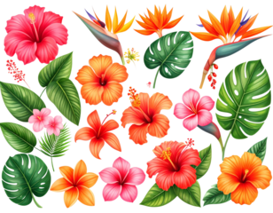 Boho-Inspired Colorful Wildflower Bouquet Illustration, isolated PNG