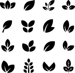 Diverse leaf in black and white leaves plant
