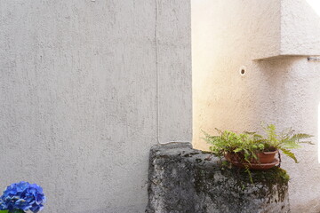 summer colors among the alleys in the historic center of the ancient village of Dorio, early in the morning. Lake como, Italy
