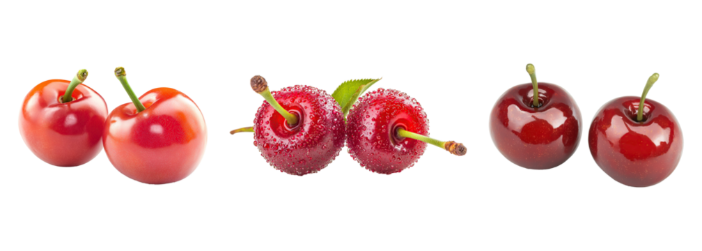 Pair of glossy coquette cherries collection, isolated on transparent background. PNG