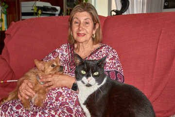 An elderly woman shares a sofa with her small ginger dog and her large black cat in a warm, homey atmosphere.