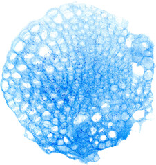 Blue Soap Bubble Watercolor Element