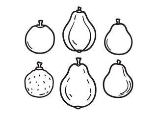 guava fresh fruit vector line illustration bundle