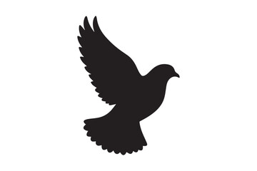 Obraz premium Pigeon