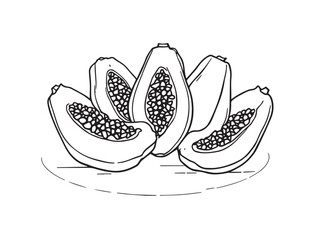 Papaya sketch healthy food outline vector