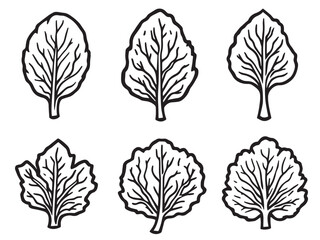 Obraz premium Black and white spinach drawing line art