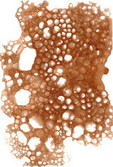 Coffee Soap Bubble Watercolor Element