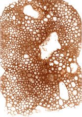 Coffee Soap Bubble Watercolor Element