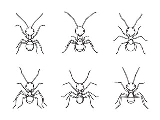 Ant insect line art illustration collection