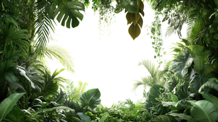 A vibrant green tropical jungle frame with lush leaves and branches forms a natural border on transparent background, perfect for spring or summer designs. PNG