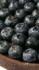 Succulent blueberries glisten like miniature moons, perfect for Lammas feasts and antioxidant-rich smoothies, reminiscent of midsummer's abundance
