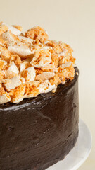 Indulgent shadow-chocolate cake crowned with celestial meringue peaks, invoking Carnival festivities with a nod to National Dessert Day
