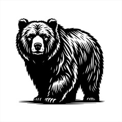 Vector art of grizzly bear standing isolated on white background