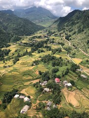 rice terraces in vietnam