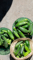 Baskets brimming with verdant cucumbers invite thoughts of summer solstice picnics and Lunar New...