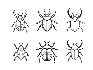 Beetle Line Style Illustration