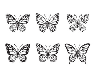 Butterfly line art illustration
