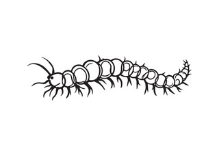 centipede simple vector drawing