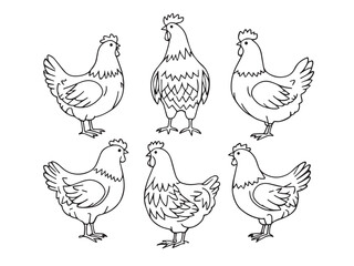 chicken meat outline drawing