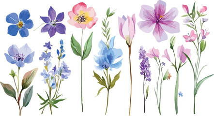 Watercolor Flower Border with Various Floral Elements on White Background Illustration
