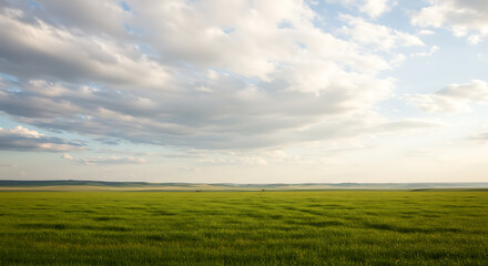 Fototapeta premium Vast green field stretches under a cloudy sky, a serene landscape scene.