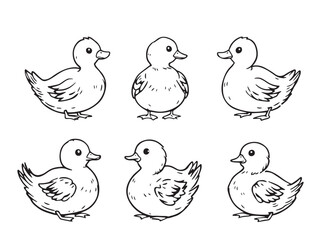 Cartoon Duck Line Art Design