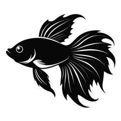 Realistic Black and White Betta Fish Illustration – High Detail Digital Art