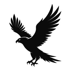 "Eagle: Facts, Symbolism & Species of the Majestic Bird of Prey"