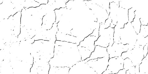A close-up, high-contrast, black and white photograph showcasing a network of fine, intricate cracks on a textured surface, resembling dry earth or aged paint.