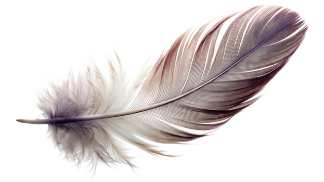 flying fether isolated on white background, png, ai generated.