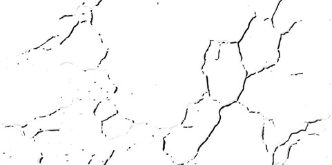A close-up, high-contrast, black and white photograph showcasing a network of fine, intricate cracks on a textured surface, resembling dry earth or aged paint.