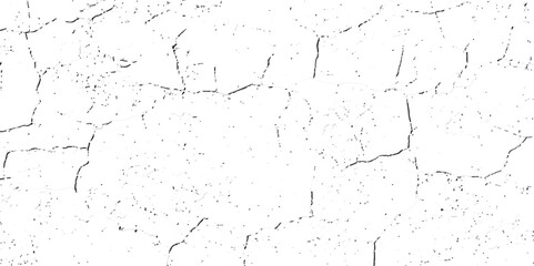 A close-up, high-contrast, black and white photograph showcasing a network of fine, intricate cracks on a textured surface, resembling dry earth or aged paint.