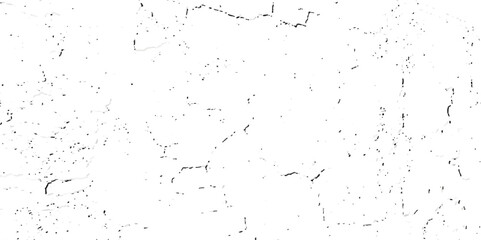 A close-up, high-contrast, black and white photograph showcasing a network of fine, intricate cracks on a textured surface, resembling dry earth or aged paint.