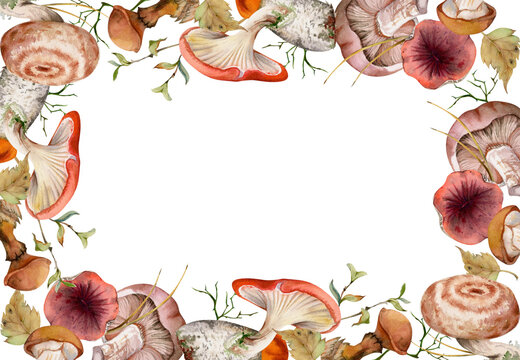 Bolete cep russula suillus mushroom fungi with leaves twigs pine needles. Watercolor hand drawn border frame. Autumn forest harvest, vegan cooking edible raw ingredient. Menu scrapbooking stationery