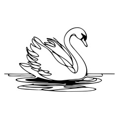 Graceful Swan on Water
