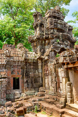 Fototapeta premium Ruins of Ta Prohm temple in Angkor, Cambodia