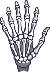 Human Hand Skeleton Bones Medical Anatomy Illustration Vector White Background Image