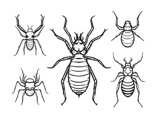 Mite Line Art Sketch Design