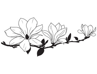 MAGNOLIA FLOWER SILHOUETTE