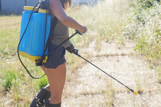 garden care, woman removing weeds, spraying herbicide with knapsack sprayer
