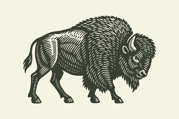 Bison in profile woodcut engraving style vector illustration © Victoria