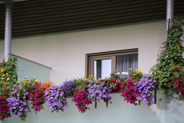BALKON MIT BLAU UND PINK